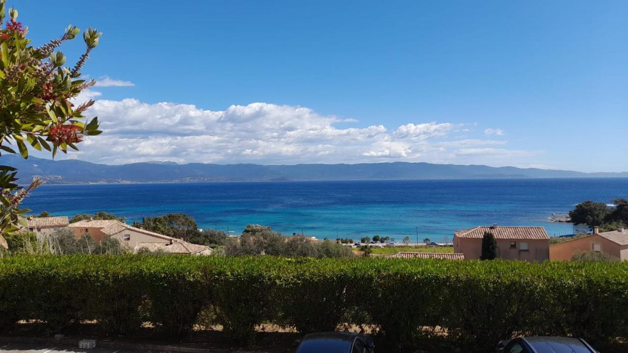Marinella, Vue Mer Panoramique, Superbe T2 Plage A 150 M Ajaccio  Eksteriør billede